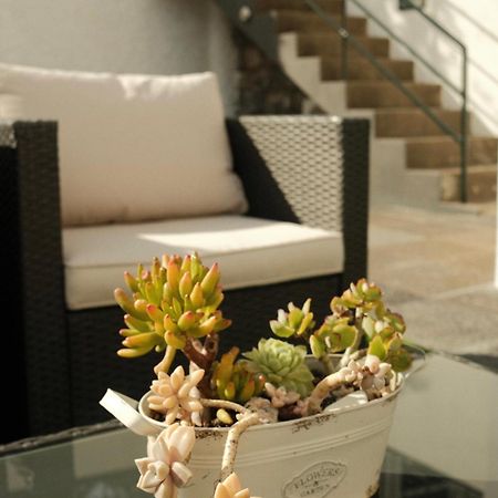 Casa15 Guesthouse Funchal Ngoại thất bức ảnh